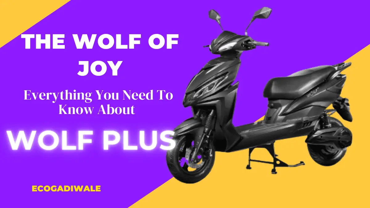 Joy e Bike Wolf Plus